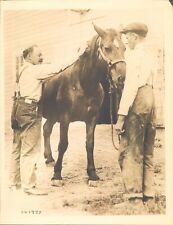 GA85 Original Underwood Photo MAGNUS JOHNSON Farmer Politician Work Horse Animal picture