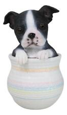 Black White Tuxedo Boston Terrier Puppy Dog Figurine With Glass Eyes Pup In Pot picture