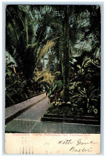 1908 Interior Horticultural Hall Fairmount Park Philadelphia PA Postcard picture