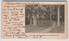Postcard 1905 Fuller's Grove in Greater Catasauqua, PA picture