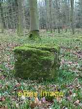Photo 6x4 Mossy Stone in beech woods, Forest of Dean Brain's Green A disc c2008 picture