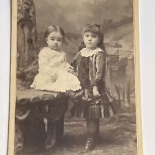 Antique Cabinet Card Photograph Adorable Little Girls Children Le Mars IA picture