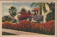 c1930s Florida home tropical foliage flame vine hedge flower linen postcard D213 picture