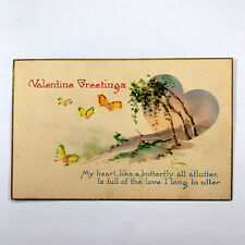 Postcard Valentine's Day Butterfly 1910s Unpossted Stecher 1080 D picture