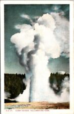 Vintage Postcard Giant Geyser Yellowstone National Park Wyoming WY         10207 picture