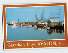Postcard Greetings from Avalon New Jersey USA picture
