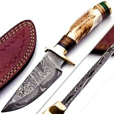 CUSTOM HAND FORGED DAMASCUS STEEL HUNTING KNIFE W/ Stag Handle Brass Guard picture