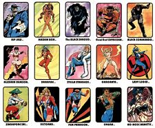 1993 AC Comics Femforce Series III 15 Card Set #29-43 picture