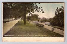 Toledo OH-Ohio, Riverside Park, Sidewalk, Vintage Postcard picture