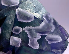 GORGEOUS 2 GENERATION BICOLOR FLUORITE CRYSTALS, YIWU, CHINA, GLOBE MINERALS picture