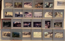 Lot Of 81 1960s &70s St Louis MO Zoo & other wild animals 35MM Slides picture