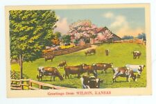 WILSON,KANSAS-GREETINGS-COWS-LINEN-#60253-(KS-WMISC) picture