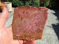   RARE/ Scarce Slice Confetti Agate from  MEXICO  190 grams picture