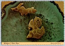 Michigan MI - Petoskey Stones - State Stones of Michigan - Vintage Postcard 4x6 picture