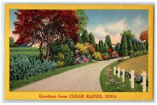 c1940s Greetings From Cedar Rapids Iowa IA Unposted Country Road Trees Postcard picture