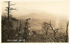 Postcard Virginia Shenandoah Park Skyline Drive  RPPC c1930-50 Unused NrMINT picture