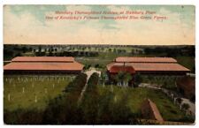 PC3 KY Kentucky Lexington Hamburg Place Thoroughbred Stables Horse Race Postcard picture