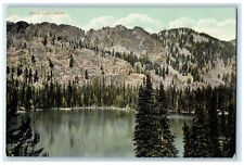 c1910s Scenic View Of Black Lake Adams County Idaho ID Unposted Vintage Postcard picture