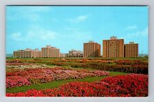 Harrisburg PA-Pennsylvania, Penn State Ag School Flower Gardens Vintage Postcard picture