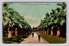 Los Angeles CA-California, Palms At Rustlake Park, Vintage c1910 Postcard picture