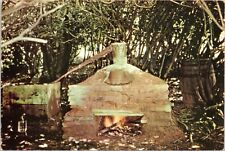 Moonshine Still - deep woods in Kentucky picture