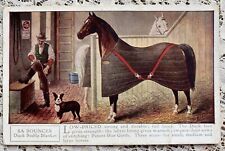 VINTAGE 1900’s BOSTON TERRIER ON HORSE BLANKET AD POSTCARD picture