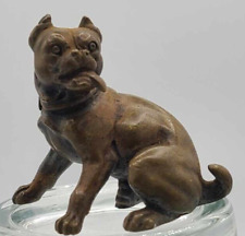 Antique Victorian Bronze Pug Dog or Pit Bull Miniature 2