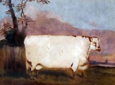 Dream-art Oil painting John-Vine-A-Shorthorn-Cow nice animal in landscape canvas picture
