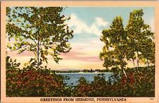 Scenic View, Greetings from Herminie PA Vintage Postcard J70 picture