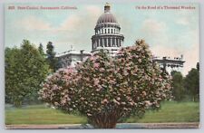 Sacramento California, State Capitol Building, Vintage Postcard picture