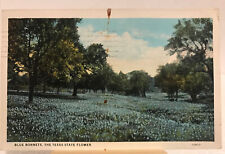Vintage Postcard- A Field of Blue Bonnets- c. 1934 picture