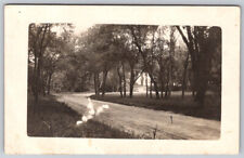 Tree Line Street Near Park in Nebraska RPPC Real Photo Postcard VTG Stamped picture
