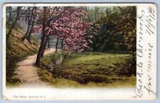 Pre-1907 THE GLENS*SUMMIT NEW JERSEY*NJ*FOREST SCENE*ANTIQUE POSTCARD picture