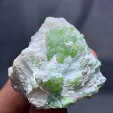 207 Cts Tourmaline crystal with Quartz from Afghanistan picture