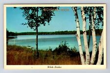 Richland MI-Michigan, Greetings White Birches Antique Souvenir Vintage Postcard picture