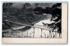 1914 Park Island Bridge River Scene Walton New York NY Posted Antique Postcard picture
