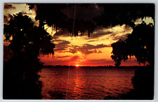 c1960s Florida Cypress Gardens Sunset Sunrise Vintage Postcard picture