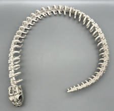 Crazy Bonez Snake Skeleton 44