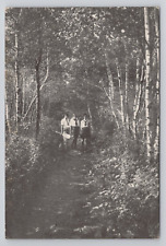 Postcard Path to Naomi Lake Pine Tree Camp Pocono Pines Pennsylvania picture
