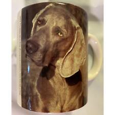 VTG 1993 Weimaraner Pet Dog Coffee Tea Mug©️ Sally Klein Photo Displayed /Unused picture