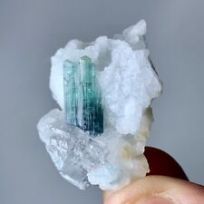 40 Carat Indicolite  Tourmaline Crystal Specimen From Afghanistan picture