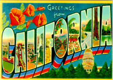 Postcard California Greeting From the Golden State Statehood 1850 picture