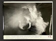 1989 Fresno Zoo CA Asian Elephant Cools Off With Dust Bath Vintage Press Photo picture