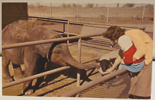 Vintage Postcard MAYTAG ZOOLOGICAL PARK Papago Park, Phoenix Arizona picture