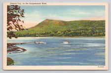Council Cup on the Susquehanna River Linen Postcard No 3729 picture
