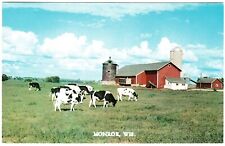 Dairy Farm Barn and Cattle MONROE WISCONSIN UNP Vintage WI Postcard picture