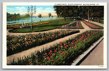 Wilkes Barre Pa Pennsylvania - Flower Beds on River Common - Postcard  c1920s picture