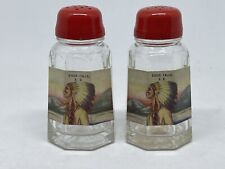 Vintage Collectable Sioux Falls SD Salt Pepper Shakers Native American Chief picture
