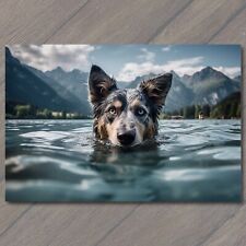 POSTCARD: Playful Dog Enjoying a Refreshing Swim Amidst Majestic Mountains 🐾🏞️ picture