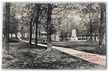 c1910 Scenic View In The Park Looking East Monticello New York Vintage Postcard picture